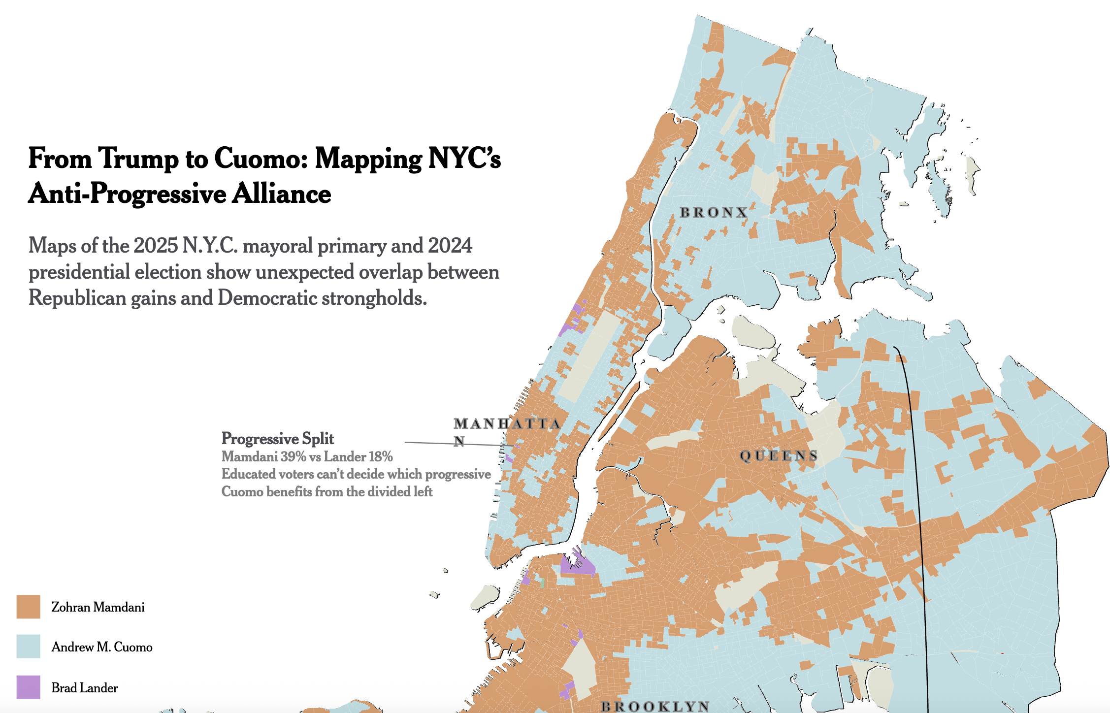 NYC Mayor Election Map