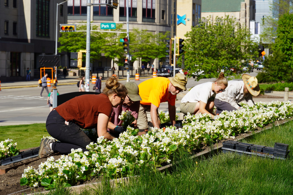 Grounds crew creates beauty — and biodiversity — on campus